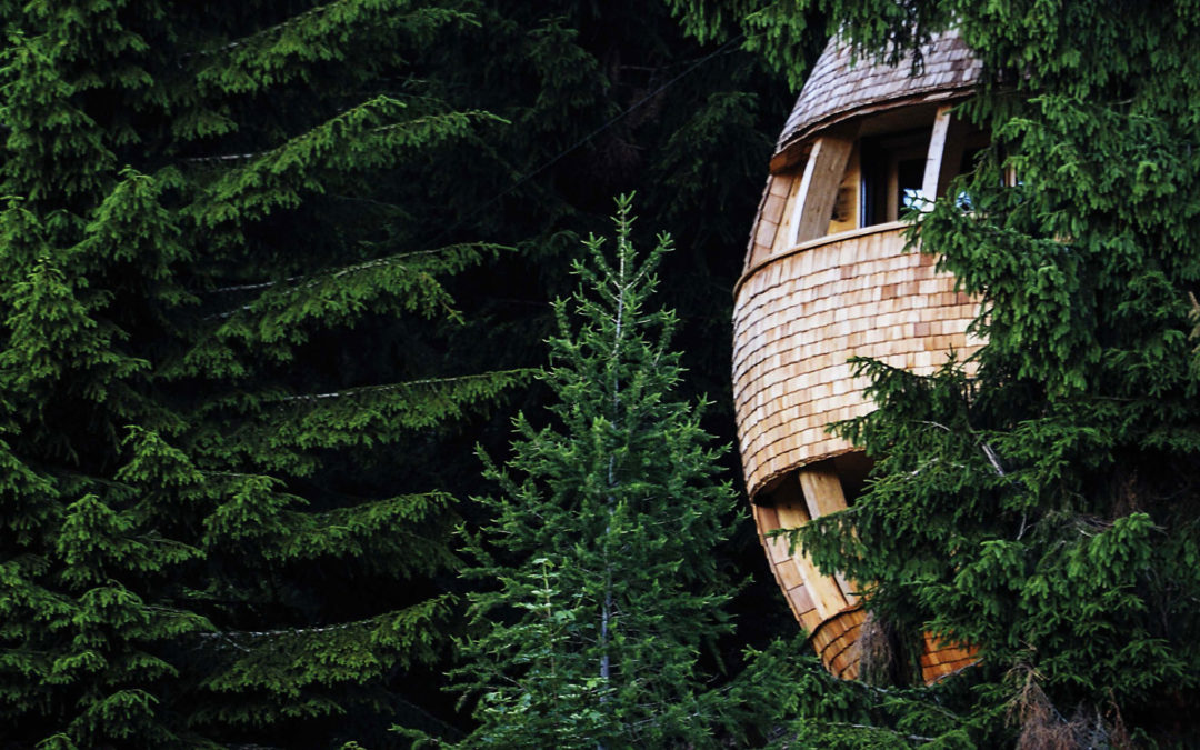 “Tree House”: Il Turismo Green Arriva In Italia