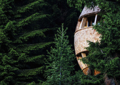 “Tree House”: Il Turismo Green Arriva In Italia